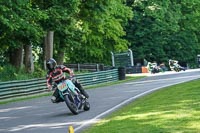 cadwell-no-limits-trackday;cadwell-park;cadwell-park-photographs;cadwell-trackday-photographs;enduro-digital-images;event-digital-images;eventdigitalimages;no-limits-trackdays;peter-wileman-photography;racing-digital-images;trackday-digital-images;trackday-photos